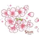 Icône Haru no Sakura 春の桜