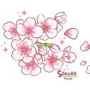 Icon Haru no Sakura 春の桜 Icon Haru no Sakura 春の桜
