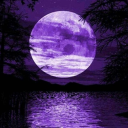 Icône Purple Moon ☾ Icône Purple Moon ☾