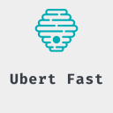 Icon Uber fast