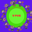 🦆 • V Pub™ Server