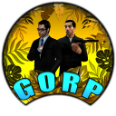 GoRP Server