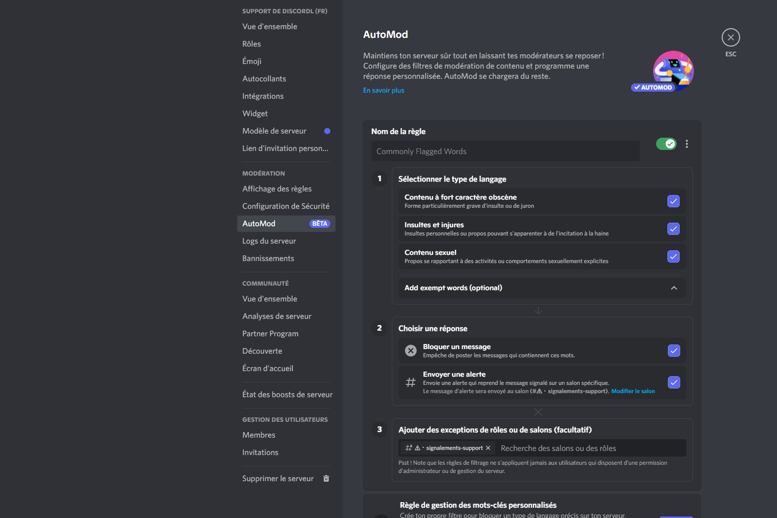 Discord Automod
